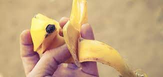 استخدامات قشر الموز