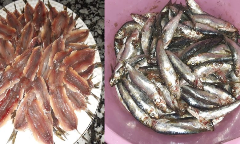 طريقة تنظيف سمك السردين