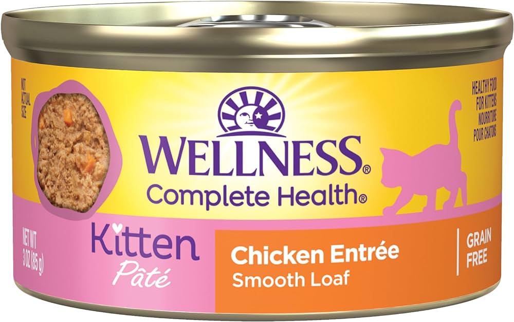 Wellness Complete Health Kitten
