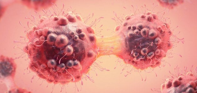 ما أهمية انقسام الخلية؟